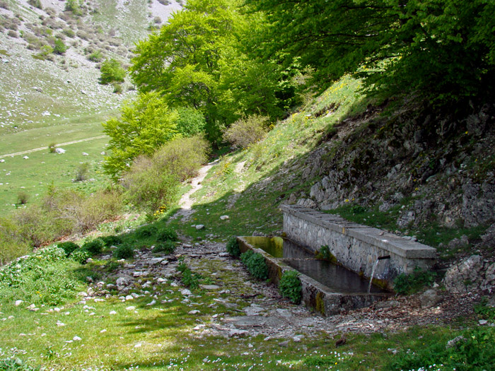 Fontanili dell''Abruzzo